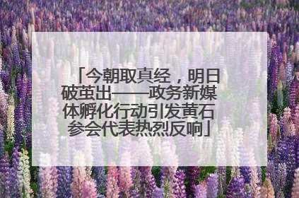 今朝取真经，明日破茧出——政务新媒体孵化行动引发黄石参会代表热烈反响