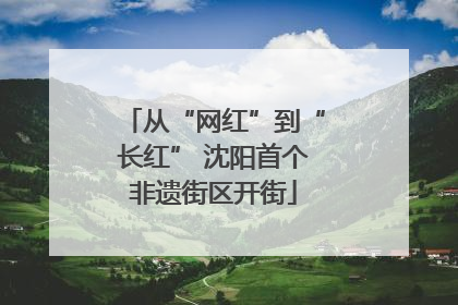 从“网红”到“长红” 沈阳首个非遗街区开街