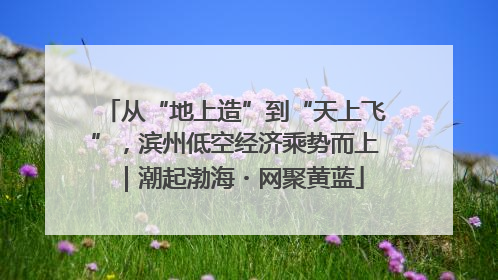 从“地上造”到“天上飞”，滨州低空经济乘势而上｜潮起渤海・网聚黄蓝