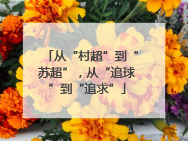 从“村超”到“苏超”，从“追球”到“追求”
