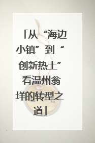 从“海边小镇”到“创新热土” 看温州翁垟的转型之道