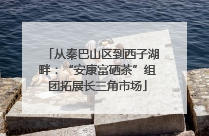 从秦巴山区到西子湖畔：“安康富硒茶”组团拓展长三角市场