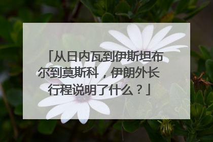 从日内瓦到伊斯坦布尔到莫斯科，伊朗外长行程说明了什么？