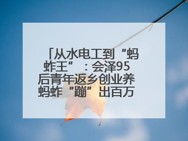 从水电工到“蚂蚱王”：会泽95后青年返乡创业养蚂蚱“蹦”出百万财富路