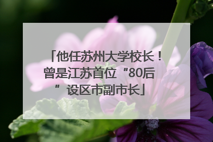 他任苏州大学校长！曾是江苏首位“80后”设区市副市长