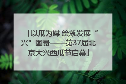 以瓜为媒 绘就发展“兴”图景——第37届北京大兴西瓜节启幕