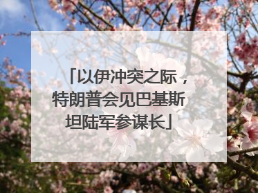 以伊冲突之际，特朗普会见巴基斯坦陆军参谋长