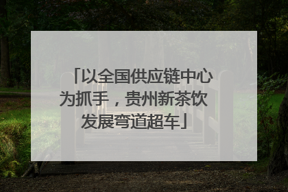 以全国供应链中心为抓手，贵州新茶饮发展弯道超车