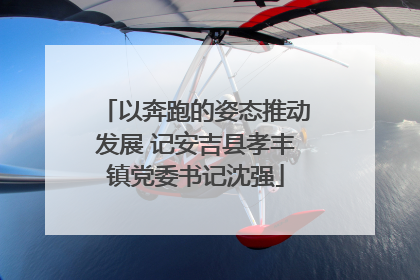 以奔跑的姿态推动发展 记安吉县孝丰镇党委书记沈强