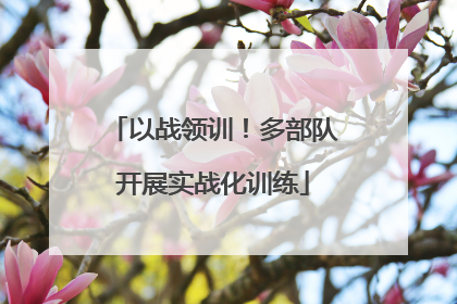 以战领训！多部队开展实战化训练