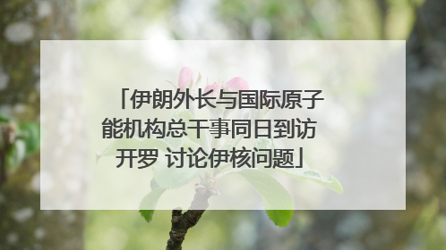 伊朗外长与国际原子能机构总干事同日到访开罗 讨论伊核问题