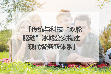 传统与科技“双轮驱动”冰城公安构建现代警务新体系