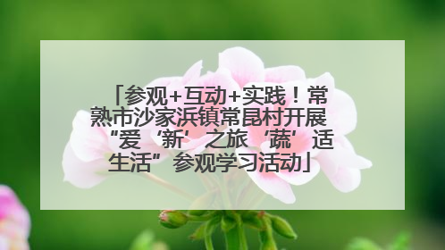 参观+互动+实践！常熟市沙家浜镇常昆村开展“爱‘新’之旅‘蔬’适生活”参观学习活动