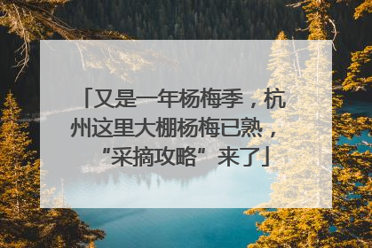 又是一年杨梅季，杭州这里大棚杨梅已熟，“采摘攻略”来了
