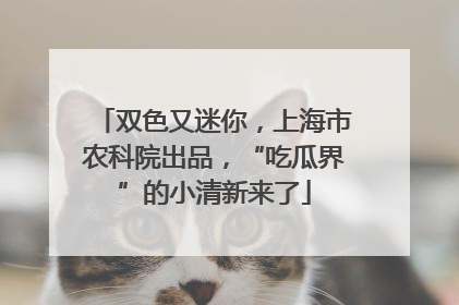 双色又迷你，上海市农科院出品，“吃瓜界”的小清新来了