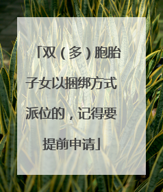 双（多）胞胎子女以捆绑方式派位的，记得要提前申请