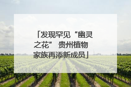 发现罕见“幽灵之花” 贵州植物家族再添新成员