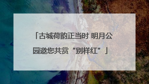 古城荷韵正当时 明月公园邀您共赏“别样红”