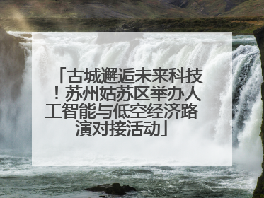 古城邂逅未来科技！苏州姑苏区举办人工智能与低空经济路演对接活动