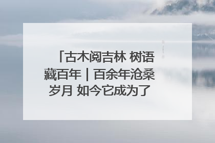 古木阅吉林 树语藏百年｜百余年沧桑岁月 如今它成为了“镇园之宝”