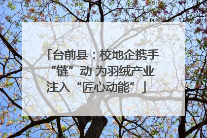 台前县：校地企携手“链”动 为羽绒产业注入“匠心动能”
