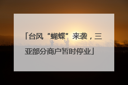 台风“蝴蝶”来袭，三亚部分商户暂时停业