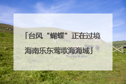 台风“蝴蝶”正在过境海南乐东莺歌海海域