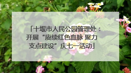 十堰市人民公园管理处：开展“赓续红色血脉 聚力支点建设”庆七一活动