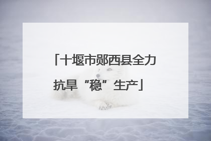 十堰市郧西县全力抗旱“稳”生产