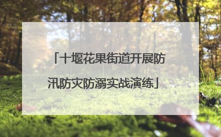 十堰花果街道开展防汛防灾防溺实战演练