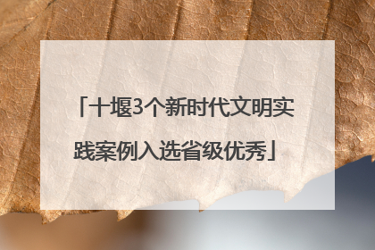 十堰3个新时代文明实践案例入选省级优秀