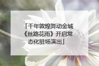 千年敦煌舞动金城《丝路花雨》开启常态化驻场演出