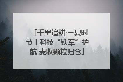 千里追耕·三夏时节丨科技“铁军”护航 麦收颗粒归仓