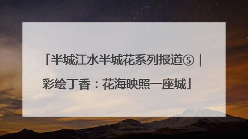 半城江水半城花系列报道⑤｜彩绘丁香：花海映照一座城