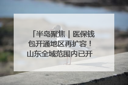 半岛聚焦｜医保钱包开通地区再扩容！山东全域范围内已开通，有何用处？如何操作？速戳→