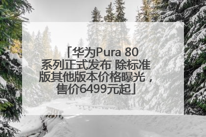 华为Pura 80系列正式发布 除标准版其他版本价格曝光，售价6499元起