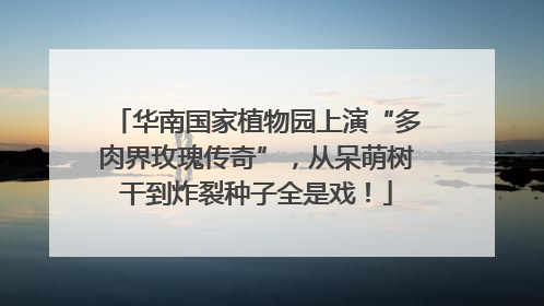 华南国家植物园上演“多肉界玫瑰传奇”，从呆萌树干到炸裂种子全是戏！