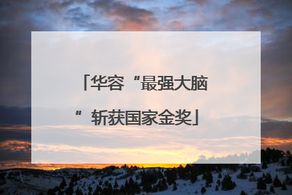 华容“最强大脑”斩获国家金奖