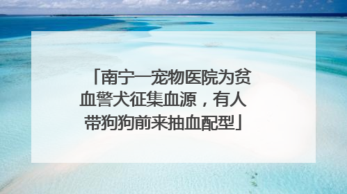 南宁一宠物医院为贫血警犬征集血源，有人带狗狗前来抽血配型