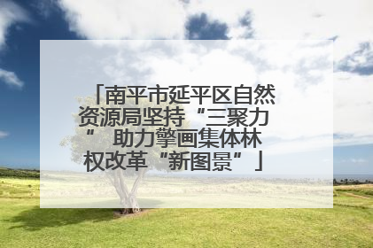 南平市延平区自然资源局坚持“三聚力” 助力擎画集体林权改革“新图景”