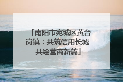南阳市宛城区黄台岗镇：共筑信用长城 共绘营商新篇