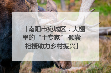 南阳市宛城区：大棚里的“土专家” 倾囊相授助力乡村振兴