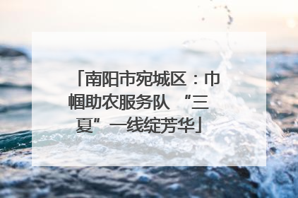 南阳市宛城区：巾帼助农服务队 “三夏”一线绽芳华