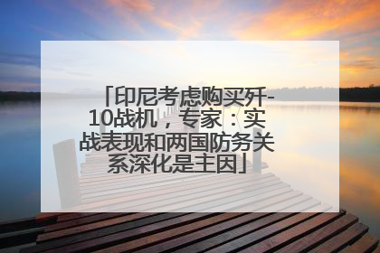 印尼考虑购买歼-10战机，专家：实战表现和两国防务关系深化是主因