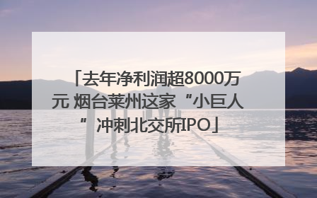 去年净利润超8000万元 烟台莱州这家“小巨人”冲刺北交所IPO