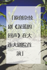 原创杂技剧《深蓝的回声》在大连大剧院首演