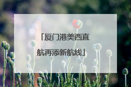 厦门港美西直航再添新航线