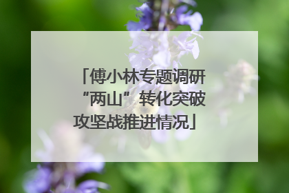 傅小林专题调研“两山”转化突破攻坚战推进情况