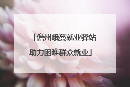儋州峨蔓就业驿站助力困难群众就业