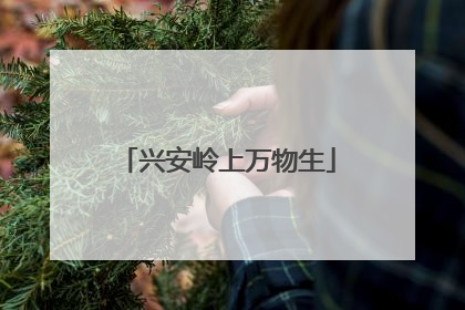 兴安岭上万物生